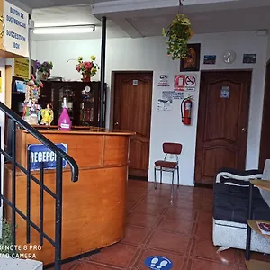 Luz Wilson Hostal